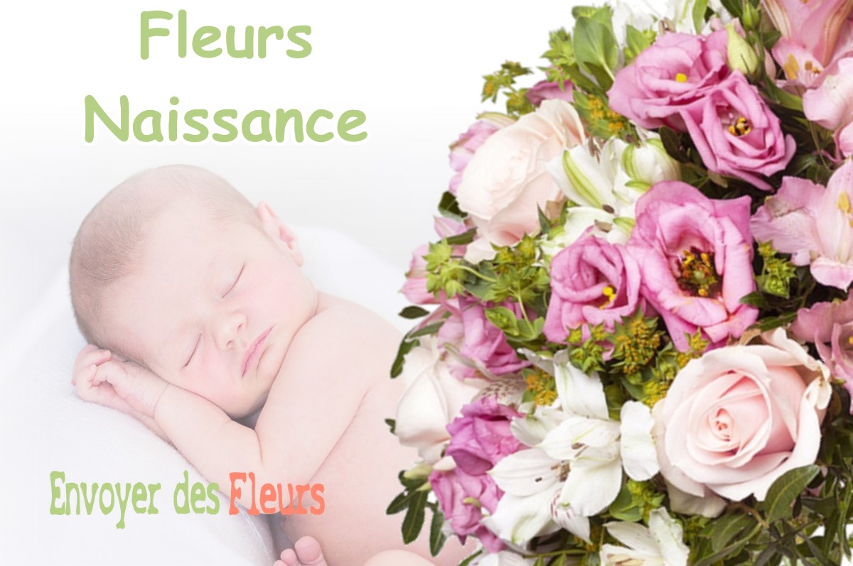 lIVRAISON FLEURS NAISSANCE à CHONAS-L-AMBALLAN